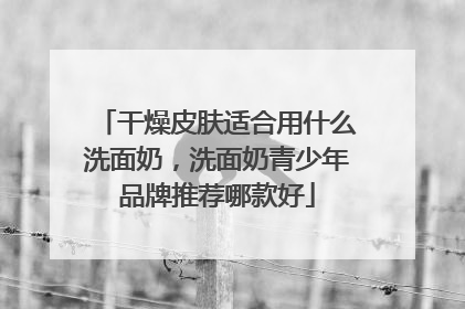 干燥皮肤适合用什么洗面奶，洗面奶青少年品牌推荐哪款好